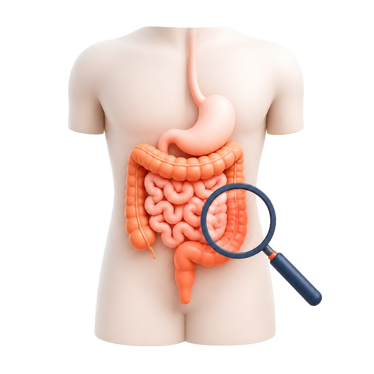 Evaluación de síntomas y lesiones digestivas